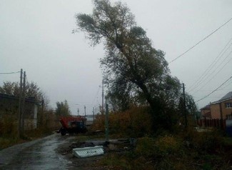 Деревья рвут провода в Липецке Деревья рвут провода в Липецке