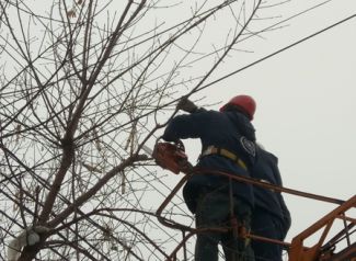ЛГЭК проводит опиловку деревьев в частном секторе Липецка ЛГЭК проводит опиловку деревьев в частном секторе Липецка