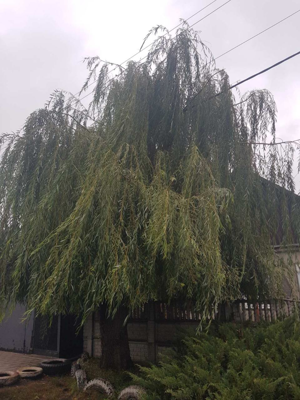 whatsappimage2019-10-01at12.01.28.jpeg
